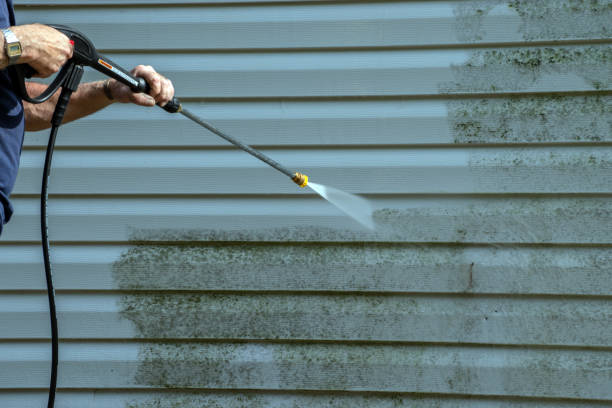 Best Solar Panel Cleaning  in Moose Lake, MN